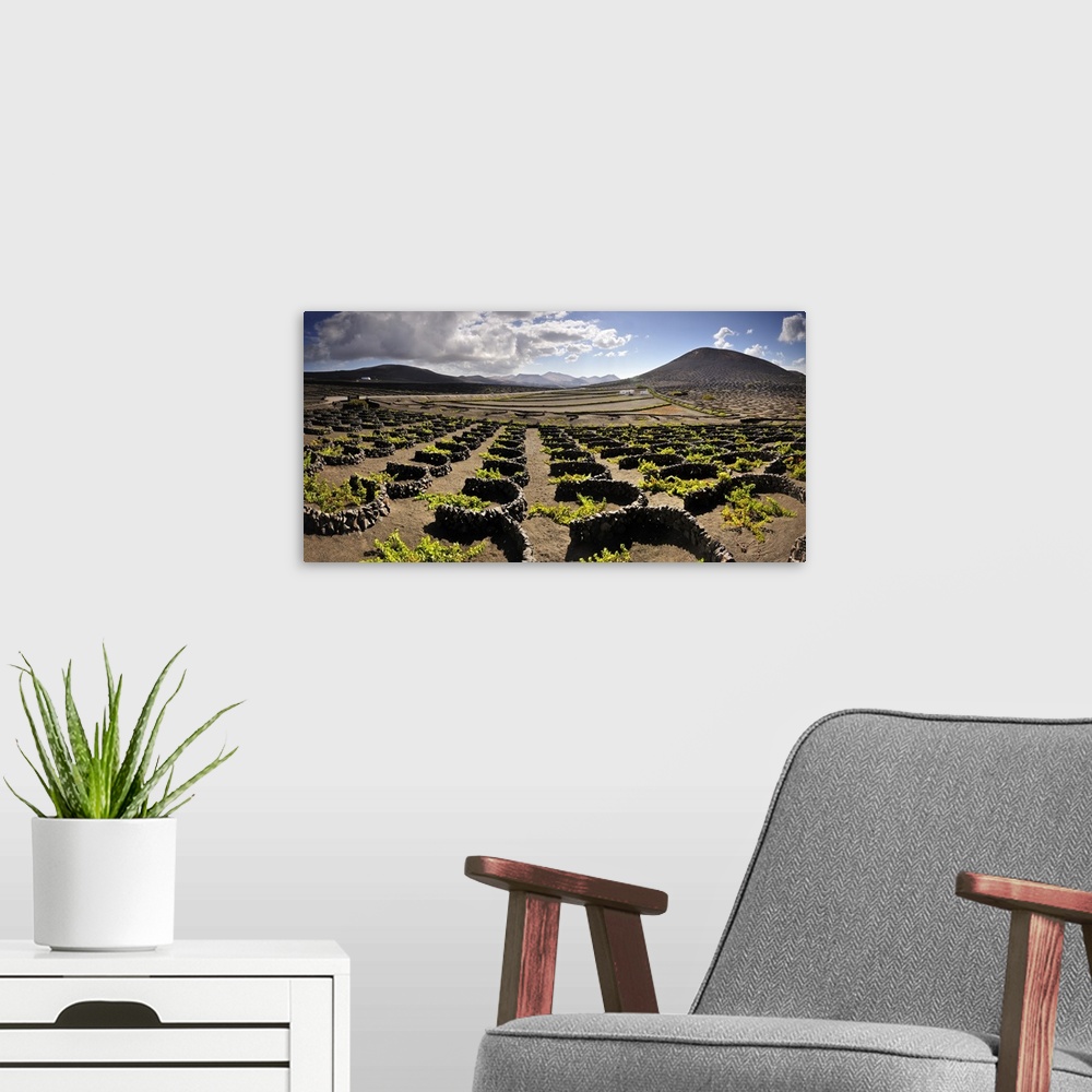 A modern room featuring Traditional vineyards in La Geria where the wines are produced in a volcanic ash soil. Lanzarote,...