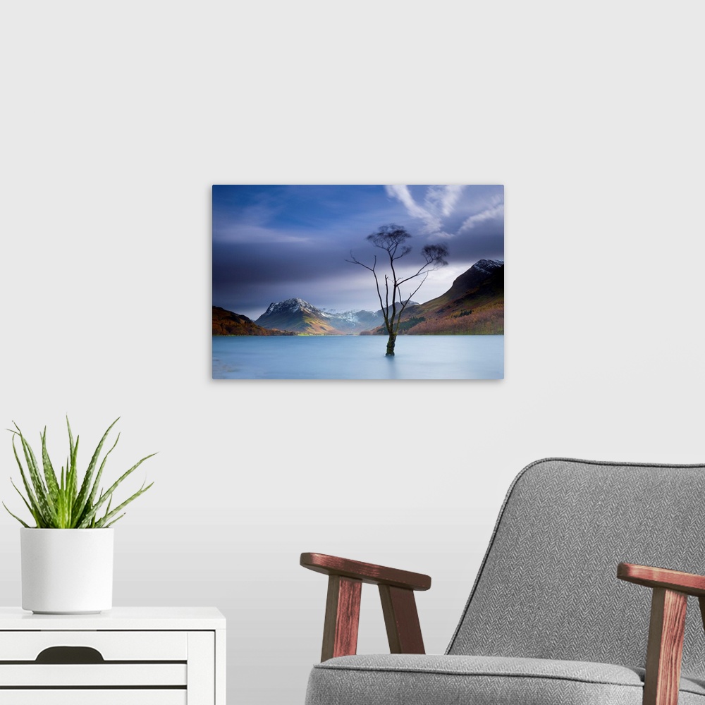 A modern room featuring Tree In Lake Buttermere, Lake District National Park, Cumbria, England