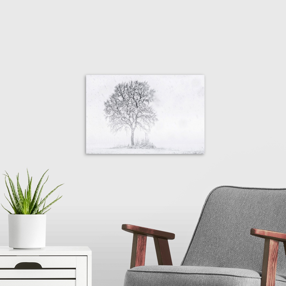 A modern room featuring Turin province, Piedmont,Italy, Europe. Abstract snow the Piedmont plain