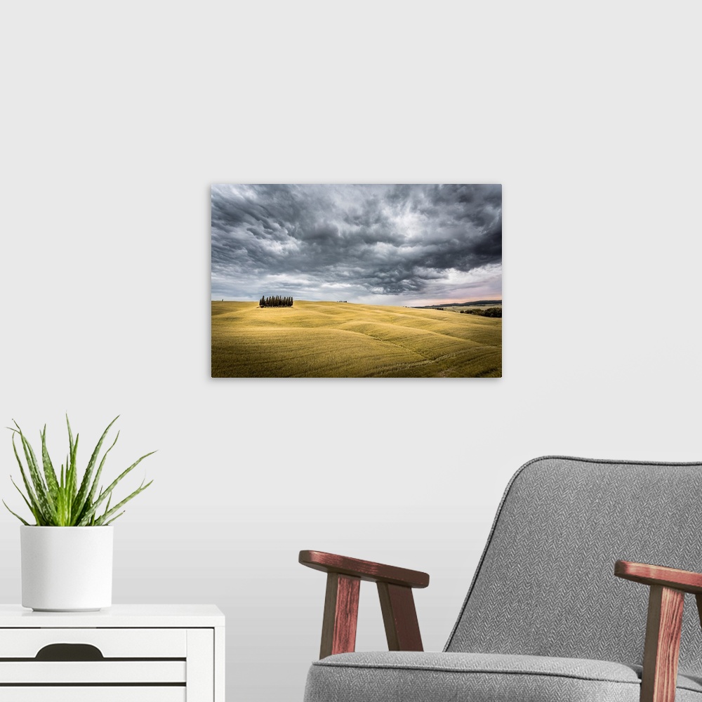 A modern room featuring Tuscany, Val d'Orcia, Italy. Cypress trees in a yellow meadow field with clouds gathering.