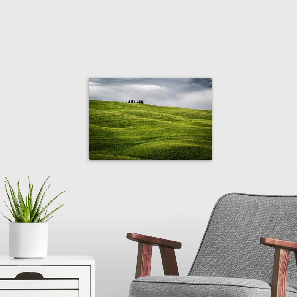 A modern room featuring Tuscany, Val d'Orcia, Italy. Cypress trees in green meadow field with clouds gathering.