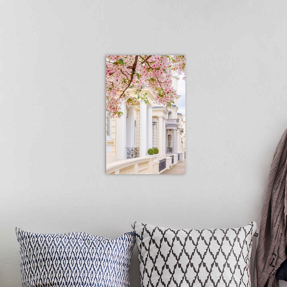 A bohemian room featuring UK, England, London, Notting hill, Ladbroke grove, cherry blossom.