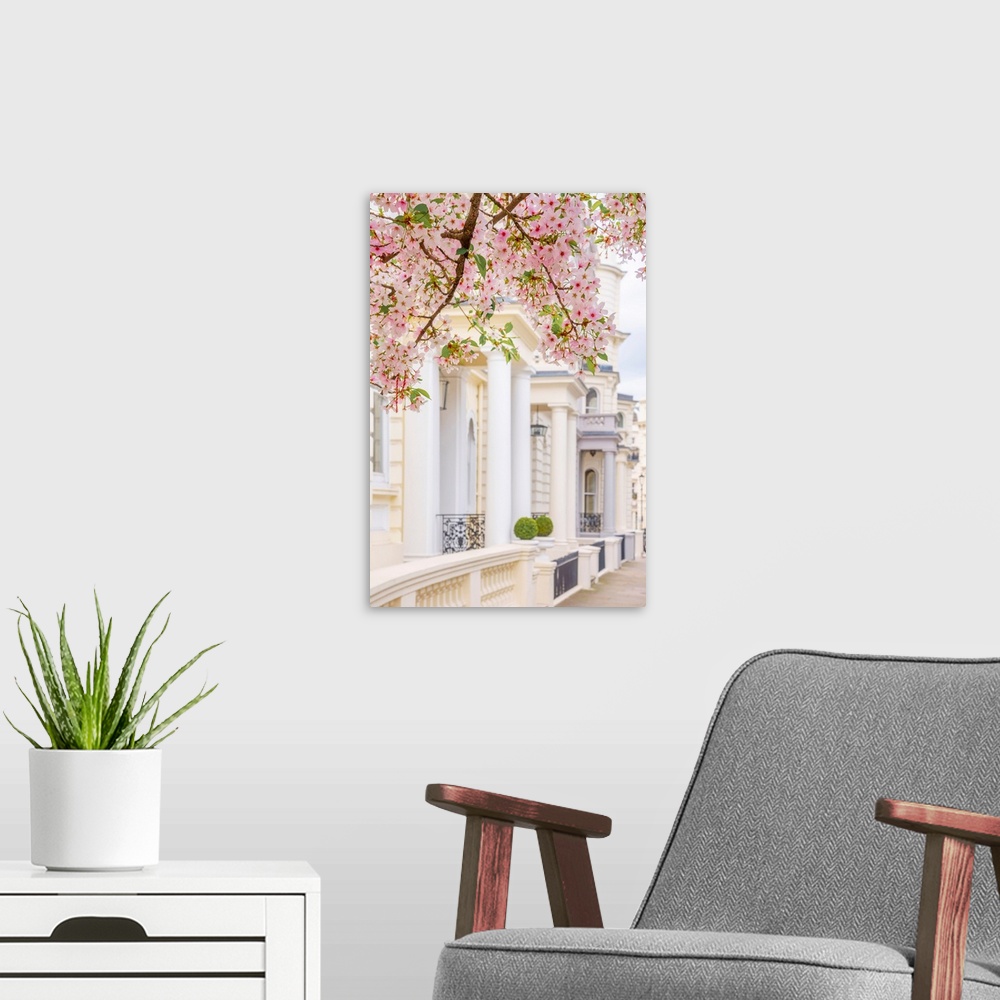 A modern room featuring UK, England, London, Notting hill, Ladbroke grove, cherry blossom.
