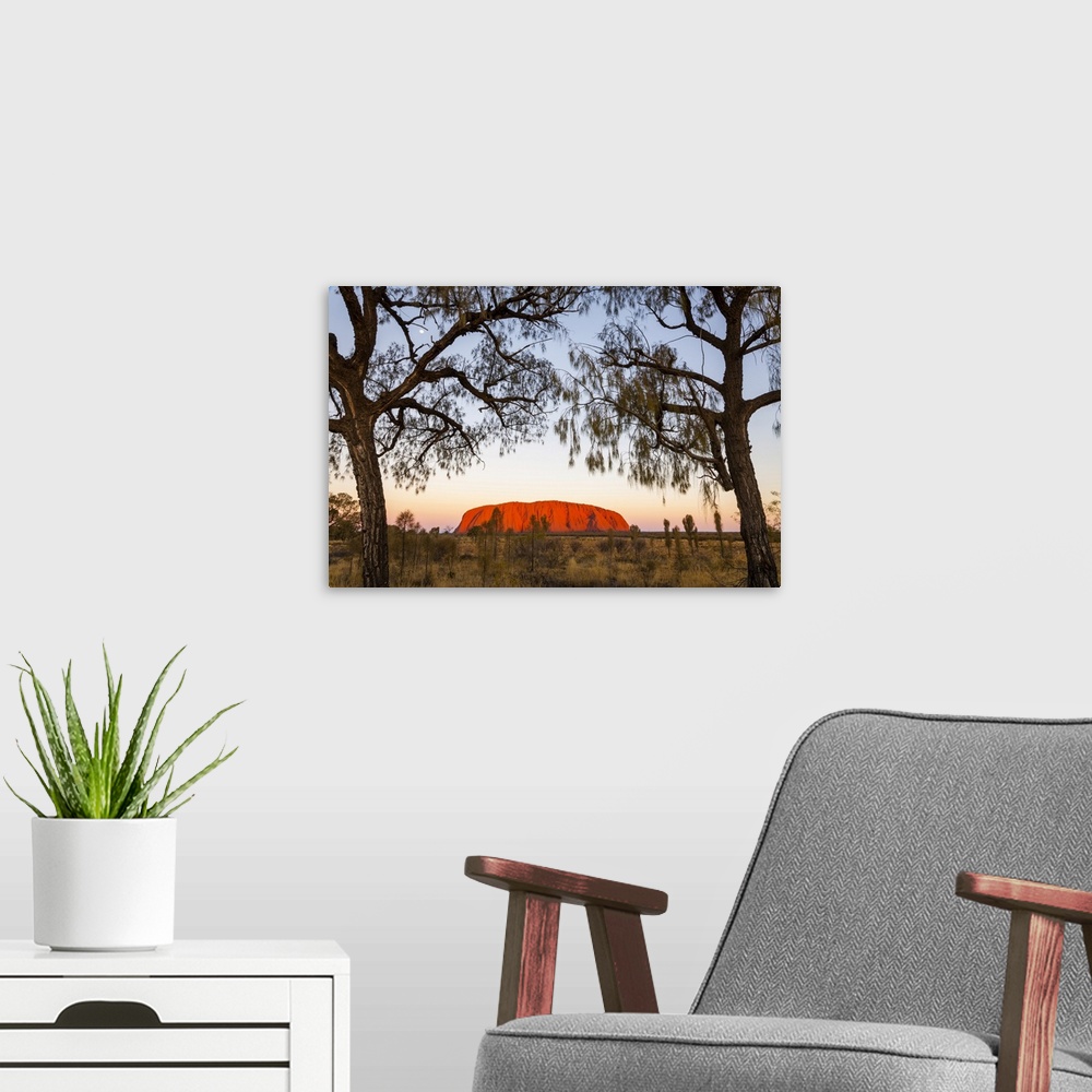 A modern room featuring Uluru and Desert Oak at twilight. Uluru-Kata Tjuta National Park, Central Australia, Northern Ter...