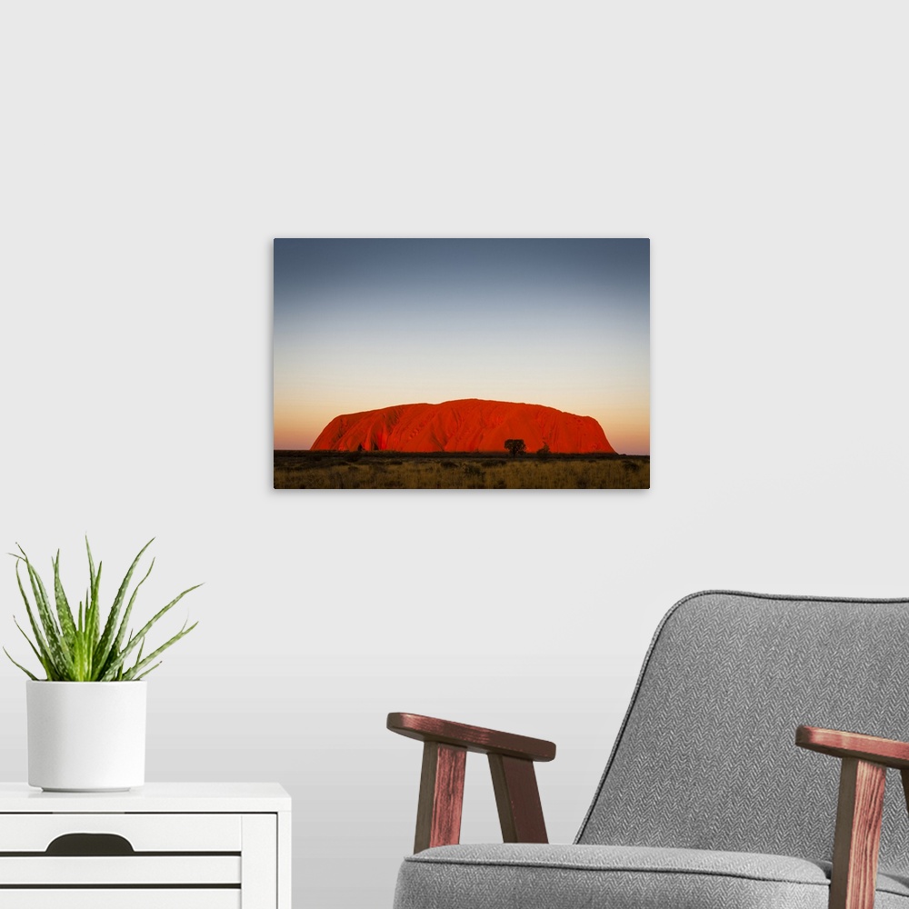 A modern room featuring Uluru glowing at dusk. Uluru-Kata Tjuta National Park, Central Australia, Northern Territory, Aus...