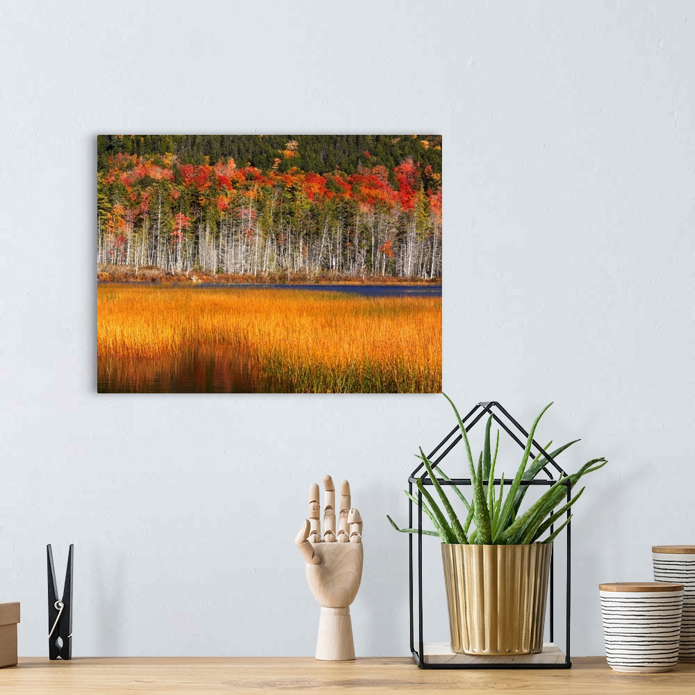 A bohemian room featuring Upper Hadlock Pond In Autumn, Acadia National Park, Maine, USA