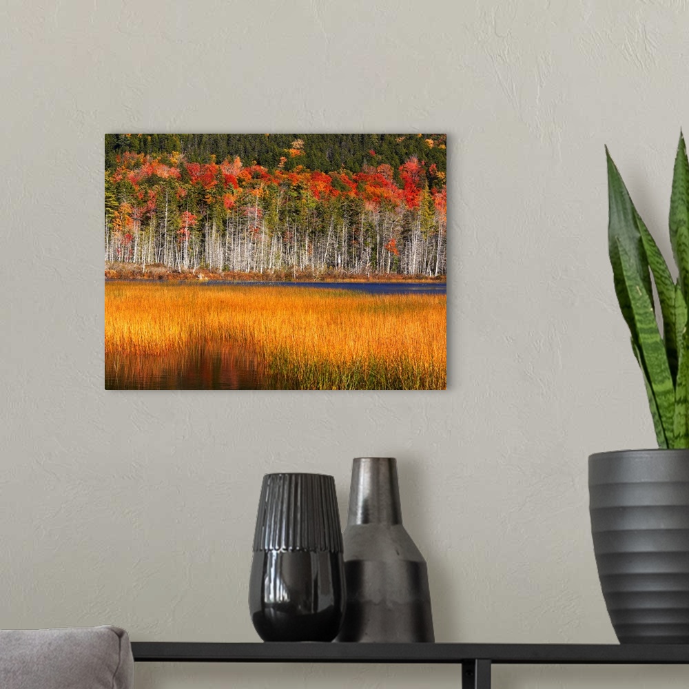 A modern room featuring Upper Hadlock Pond In Autumn, Acadia National Park, Maine, USA
