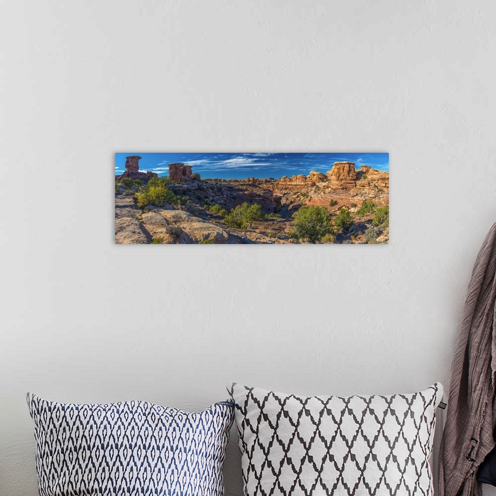 A bohemian room featuring USA, Utah, Canyonlands National Park, The Needles District, Big Spring Canyon Overlook.