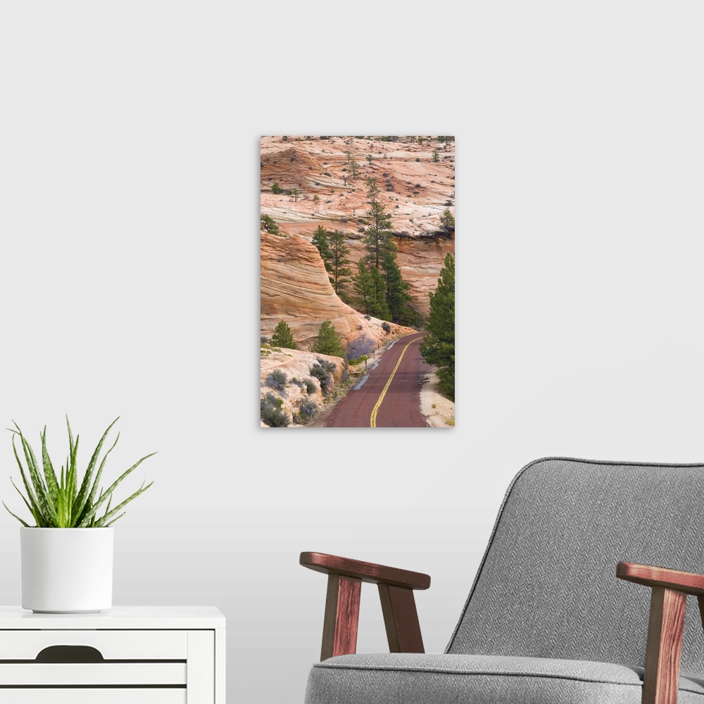 A modern room featuring USA, Utah, Zion National Park