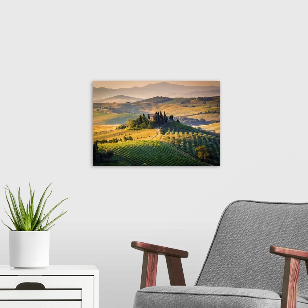 A modern room featuring Val d'Orcia, Tuscany, Italy. A lonely farmhouse with cypress and olive trees, rolling hills.