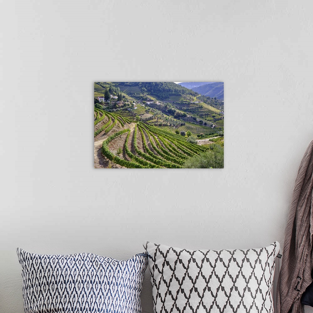 A bohemian room featuring Vale de Mendiz, a valley spreading along the road from Alijo to Pinhao, is full of vineyards to p...