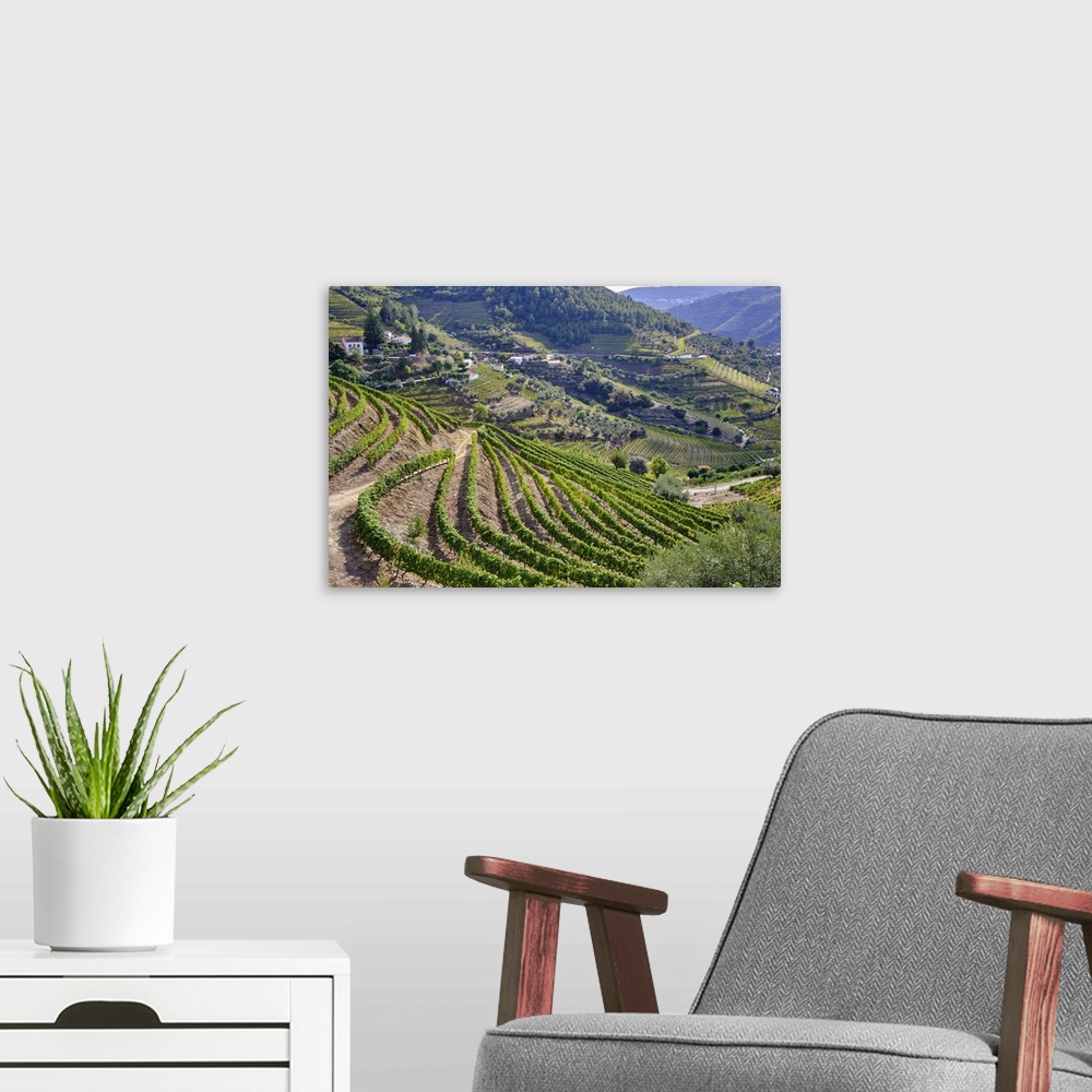 A modern room featuring Vale de Mendiz, a valley spreading along the road from Alijo to Pinhao, is full of vineyards to p...
