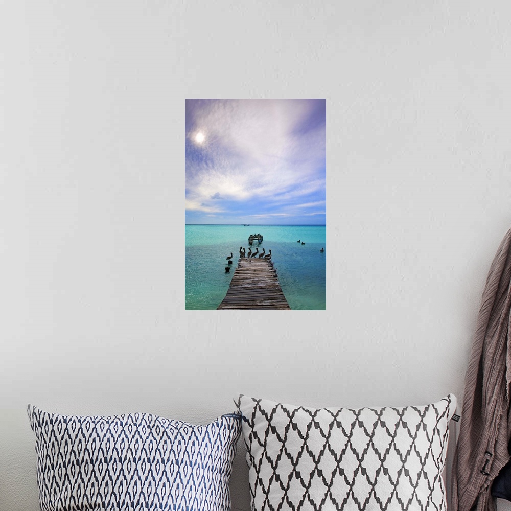 A bohemian room featuring Venezuela, Archipelago Los Roques National Park, Madrisque Island, Pelicans on pier