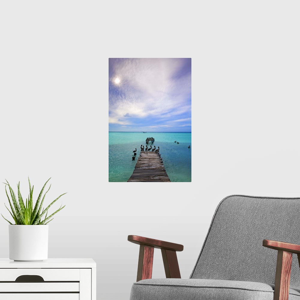 A modern room featuring Venezuela, Archipelago Los Roques National Park, Madrisque Island, Pelicans on pier