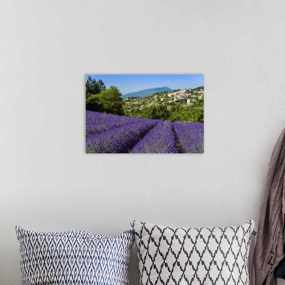 A bohemian room featuring View of village of Aurel with field of lavander in bloom, Provence, France.