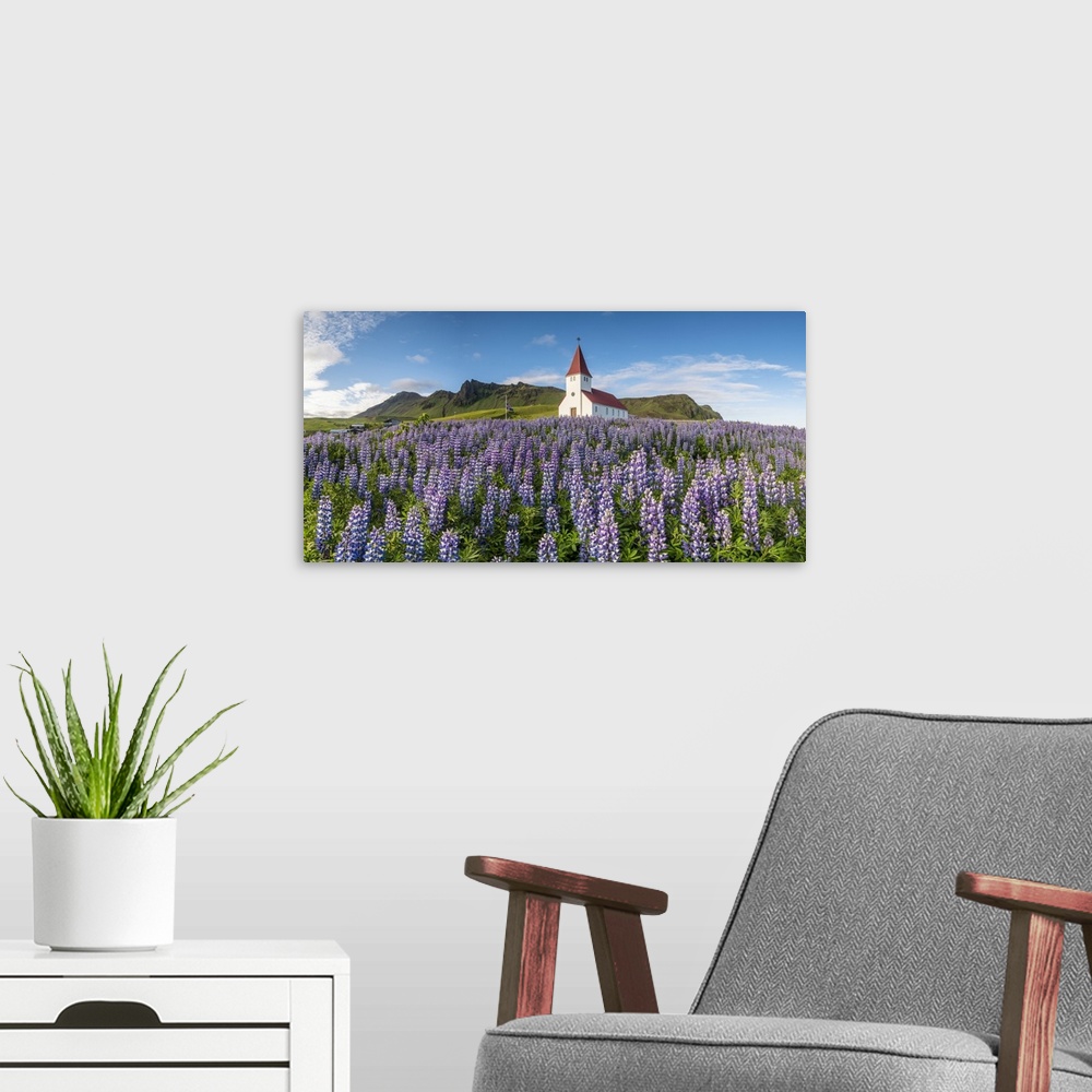 A modern room featuring Vik i Myrdal, Southern Iceland. Fields of lupins in bloom and the town church.