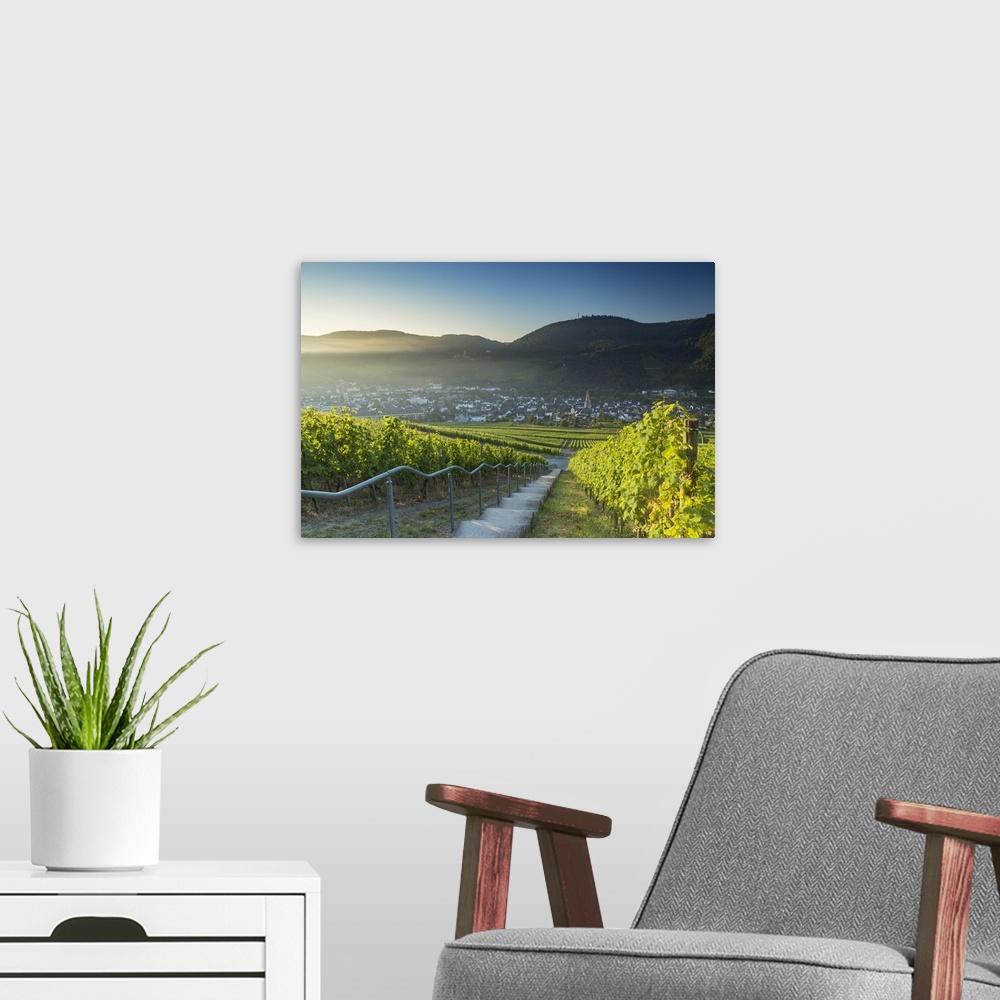 A modern room featuring View of vineyards, Bernkastel-Kues, Rhineland-Palatinate, Germany.