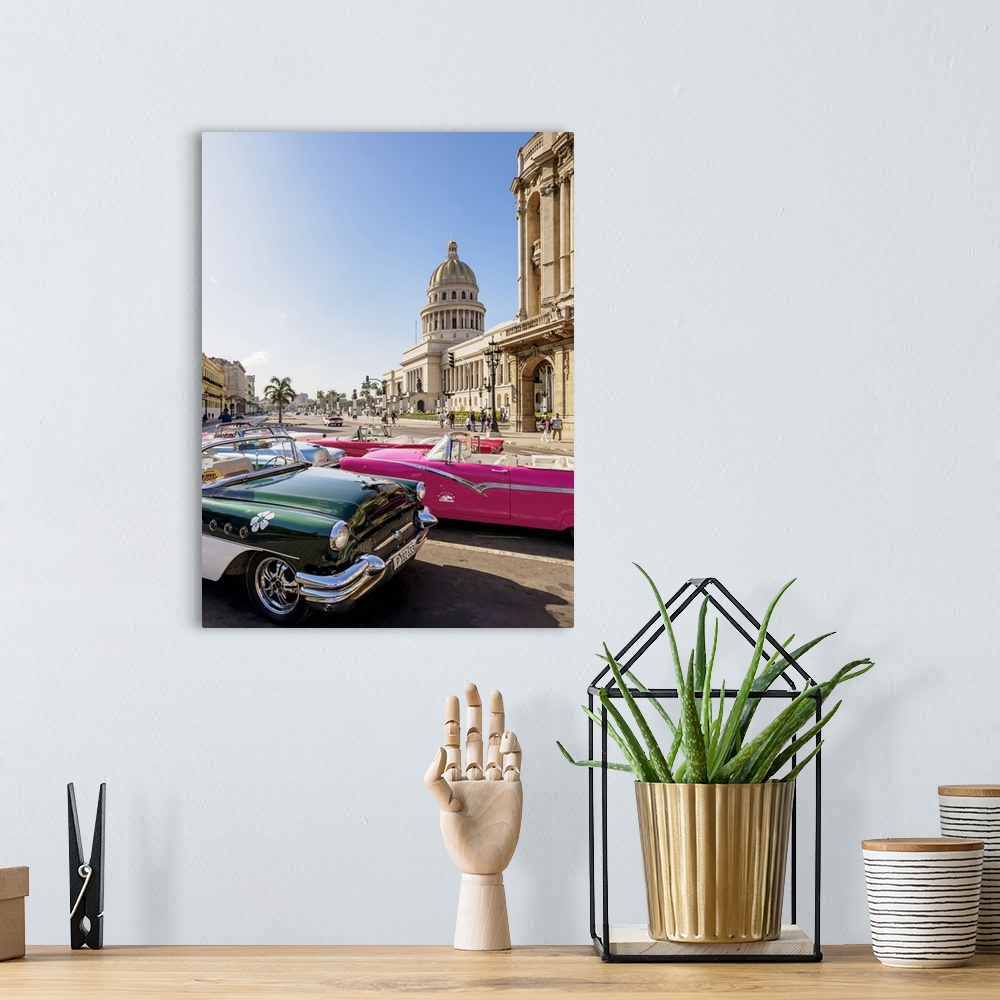 A bohemian room featuring Vintage cars at Paseo del Prado and El Capitolio, Havana, La Habana Province, Cuba