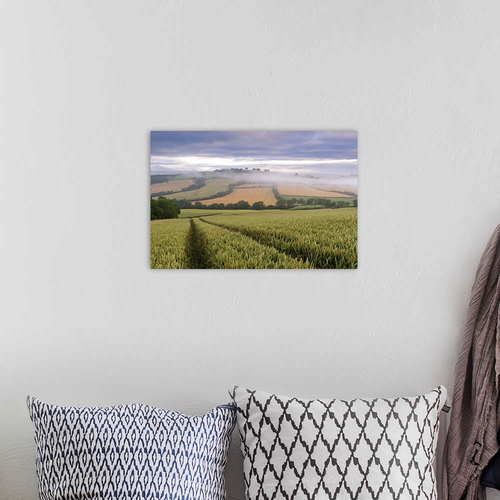 A bohemian room featuring Wheat field and rolling countryside at dawn, Devon, England. Summer (July)