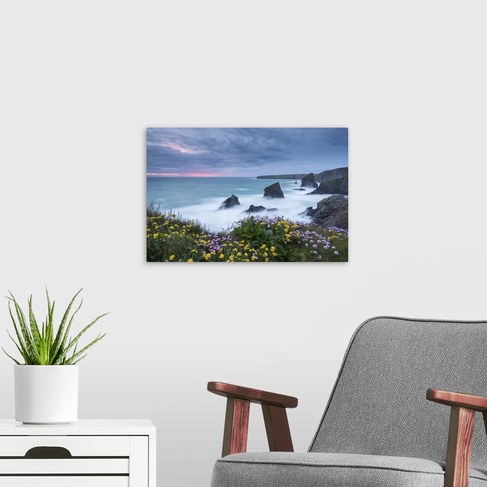 A modern room featuring Wildflowers growing on the clifftops above Bedruthan Steps on a stormy evening, Cornwall, England...