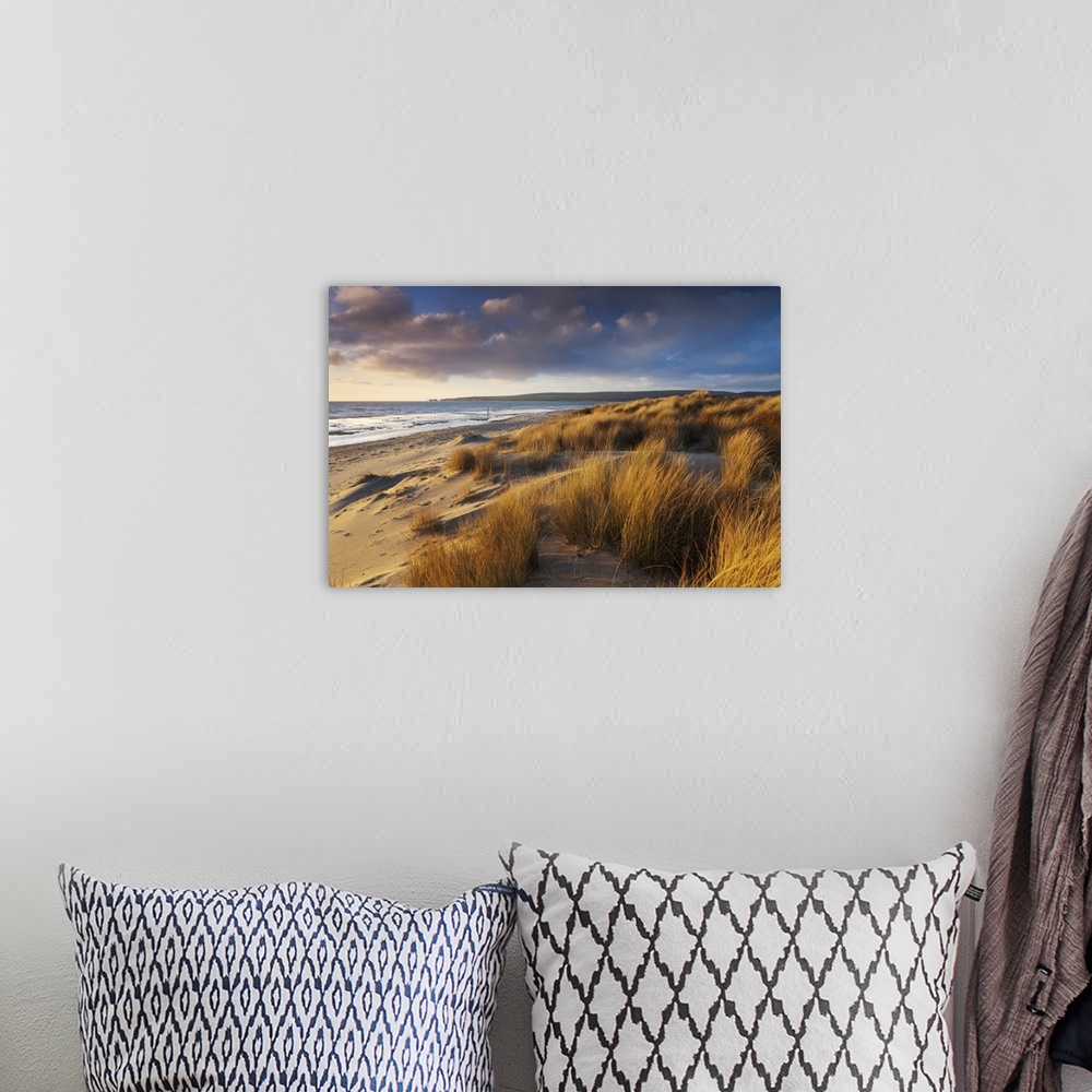 A bohemian room featuring Windswept sand dunes on the beach at Studland Bay, with views towards Old Harry Rocks, Dorset, En...