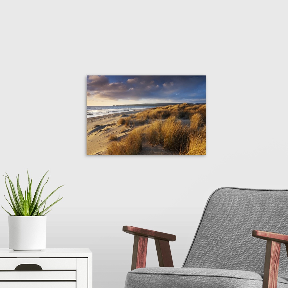 A modern room featuring Windswept sand dunes on the beach at Studland Bay, with views towards Old Harry Rocks, Dorset, En...
