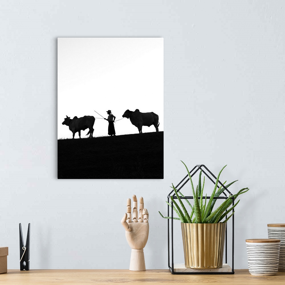 A bohemian room featuring Young farmer with two oxen, Bagan, Mandalay region, Myanmar