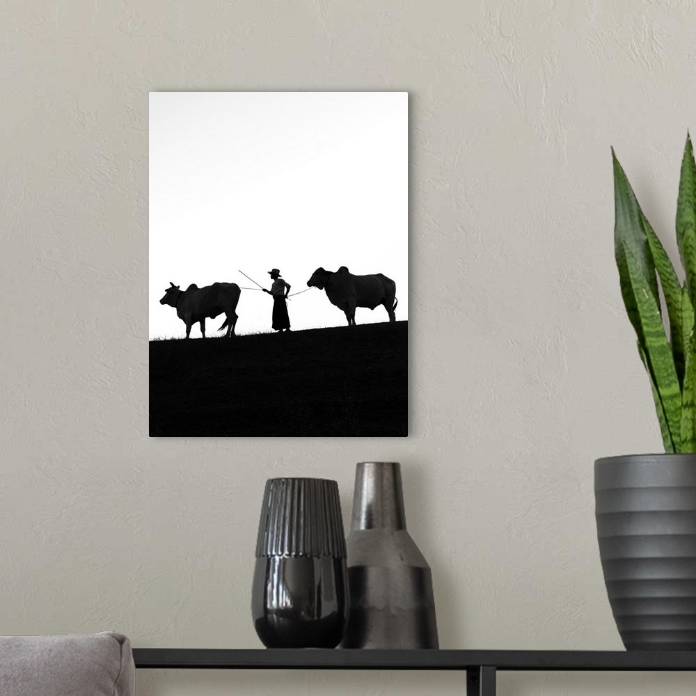 A modern room featuring Young farmer with two oxen, Bagan, Mandalay region, Myanmar