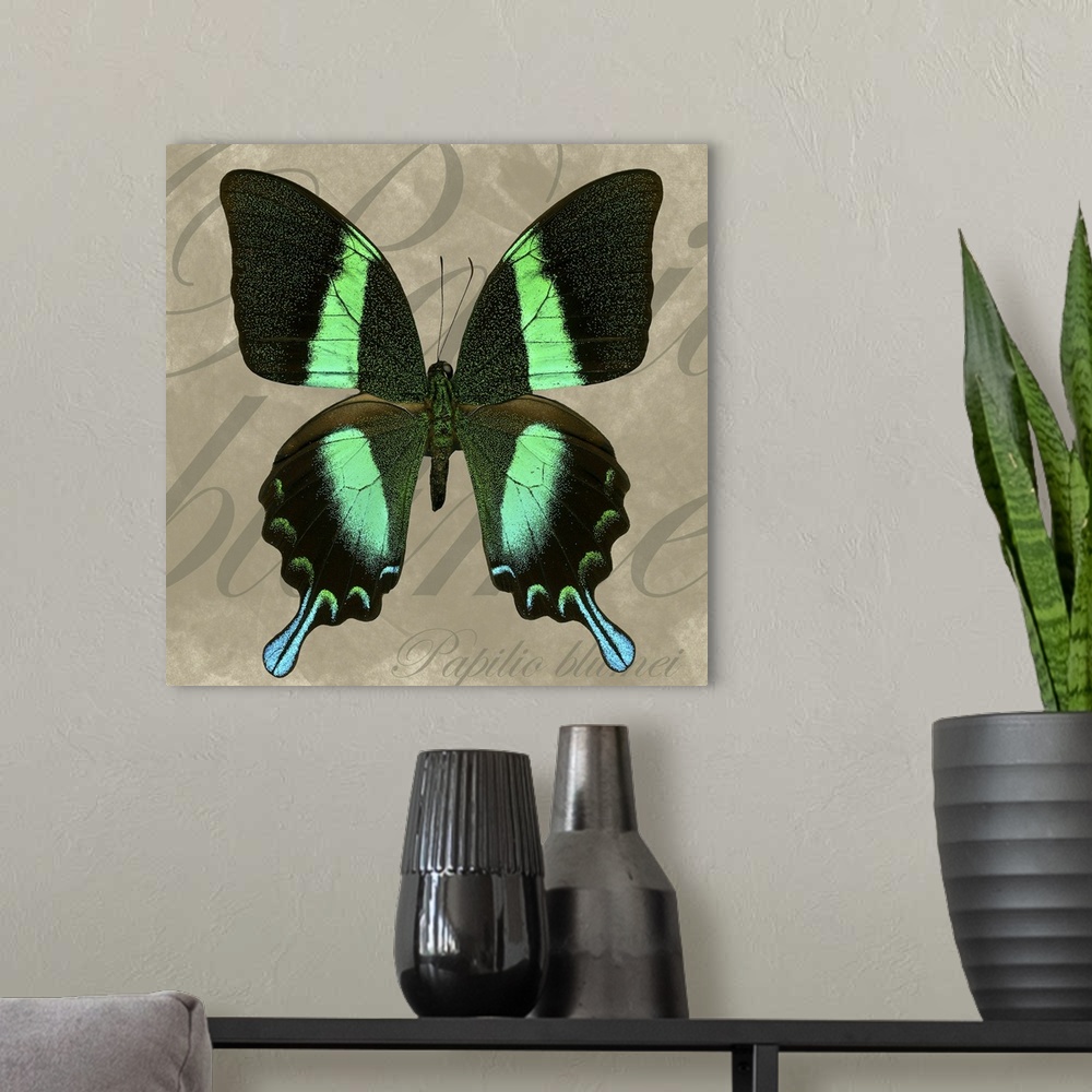 A modern room featuring Square painting of a butterfly on canvas with text overlaid in the background.