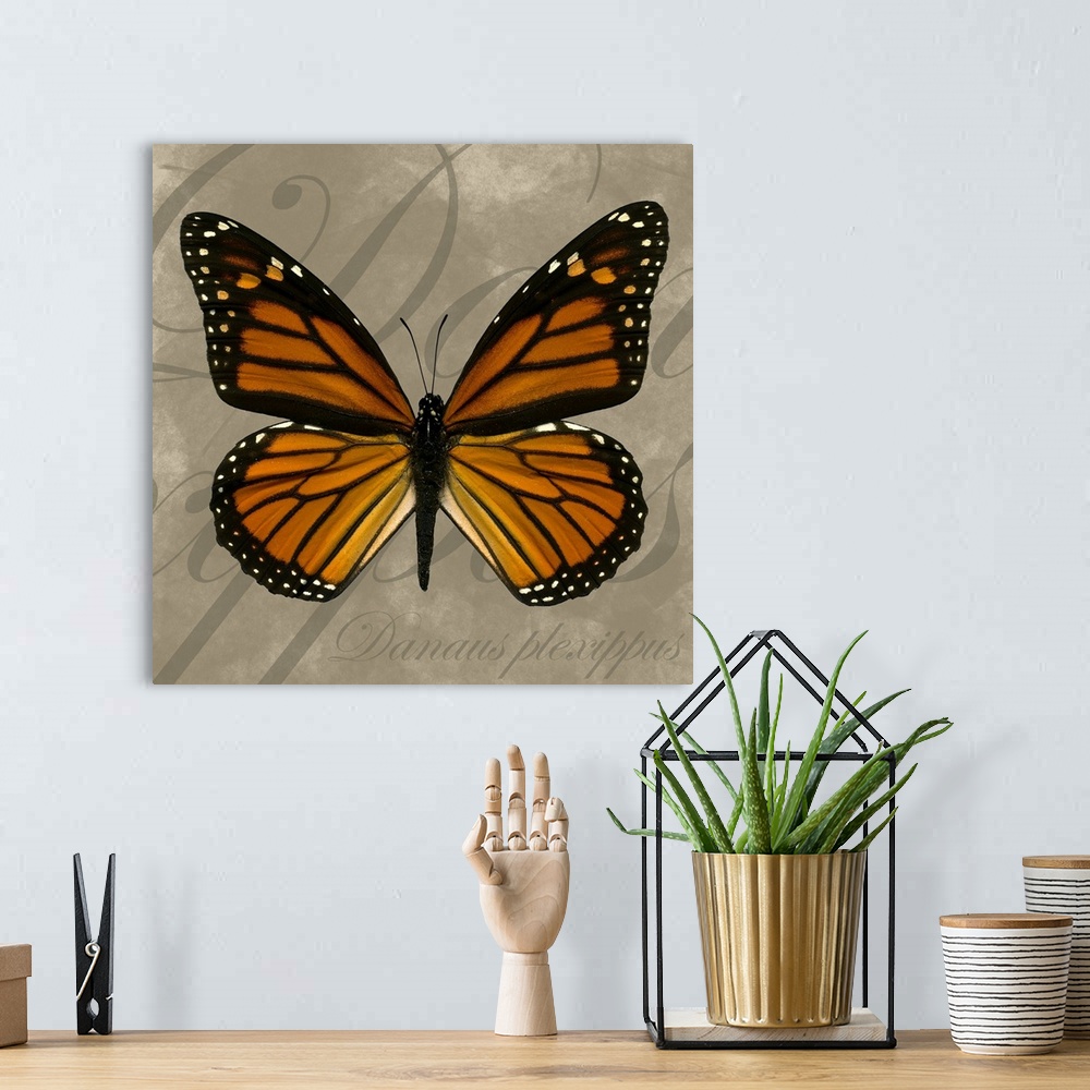 A bohemian room featuring Square painting of a butterfly on canvas with text in the background.