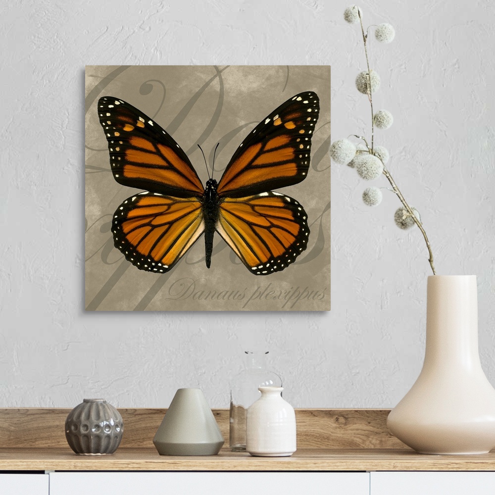 A farmhouse room featuring Square painting of a butterfly on canvas with text in the background.