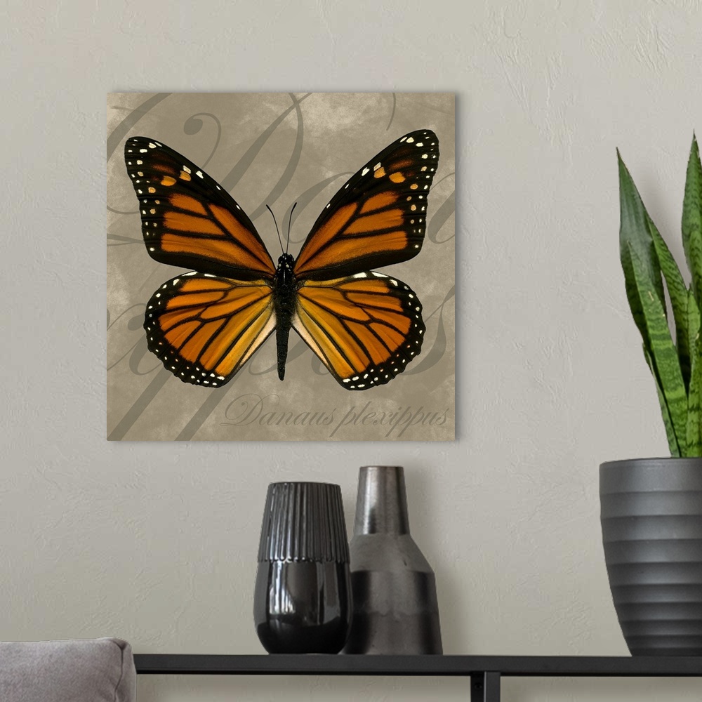 A modern room featuring Square painting of a butterfly on canvas with text in the background.