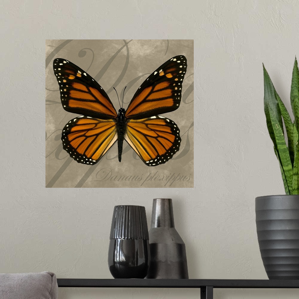 A modern room featuring Square painting of a butterfly on canvas with text in the background.