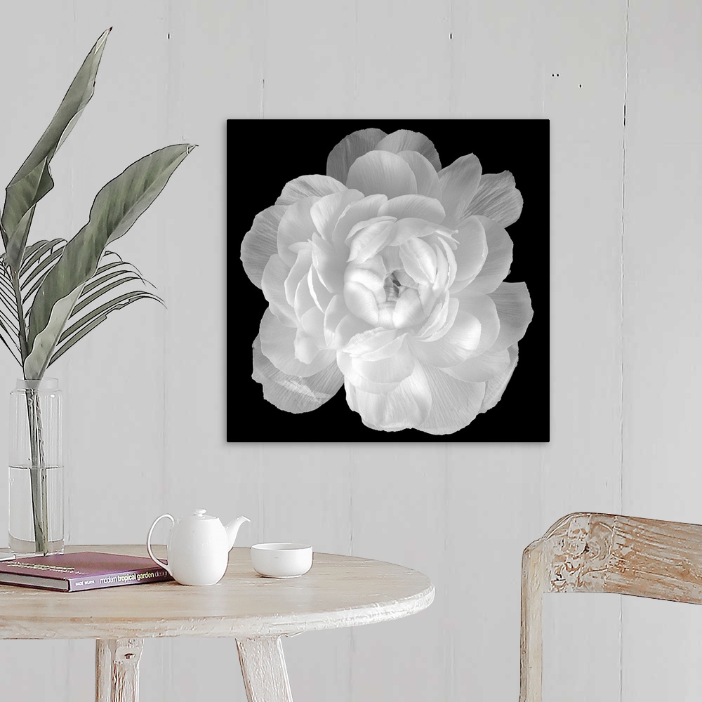 A farmhouse room featuring Big square photograph involving a close-up of a Ranunculus flower.