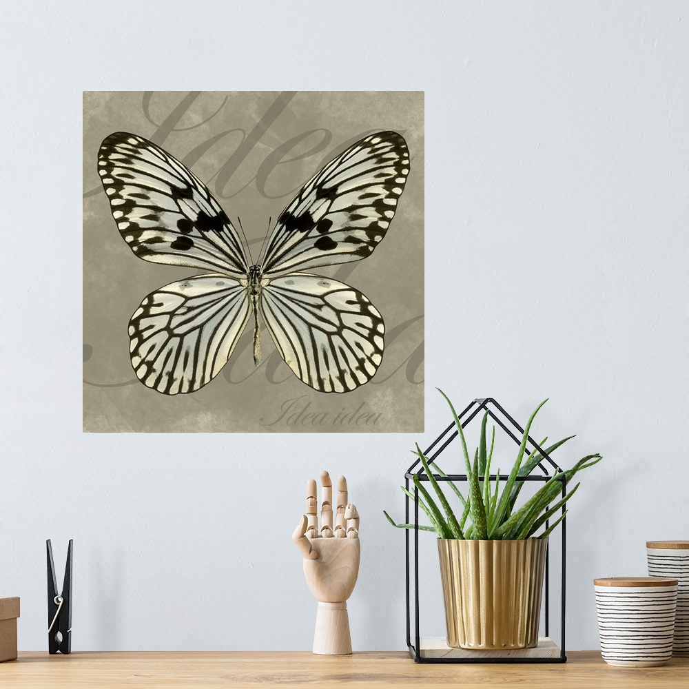 A bohemian room featuring Artwork of a butterfly with the text "Idea Idea" in large and small fonts in the background.