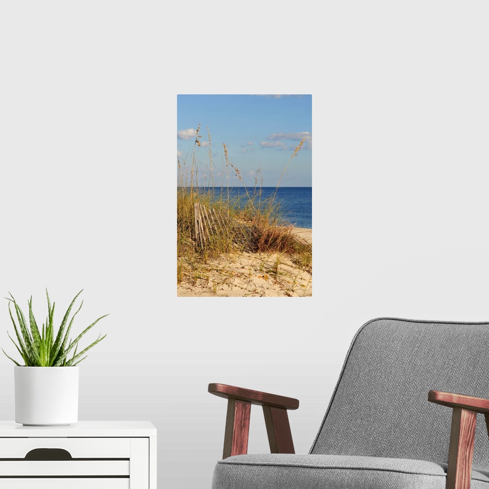 A modern room featuring Photograph of tall grass and old wood rails on beach with ocean in the background.  The Florida i...