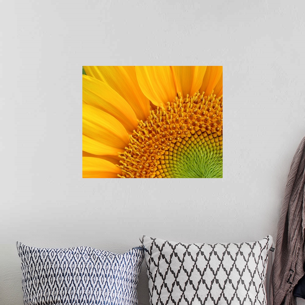 A bohemian room featuring Close-up detail of sunflower