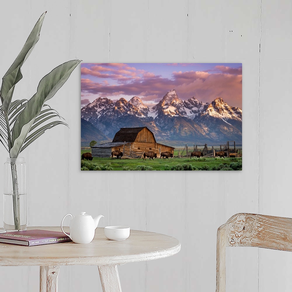 A farmhouse room featuring Big photo print of buffalo in front of a barn in the middle of a field with a rugged mountain ran...
