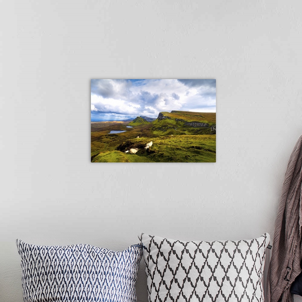 A bohemian room featuring A Herd of Sheep and Young In Scotland's Quiraing, Isle of Skye