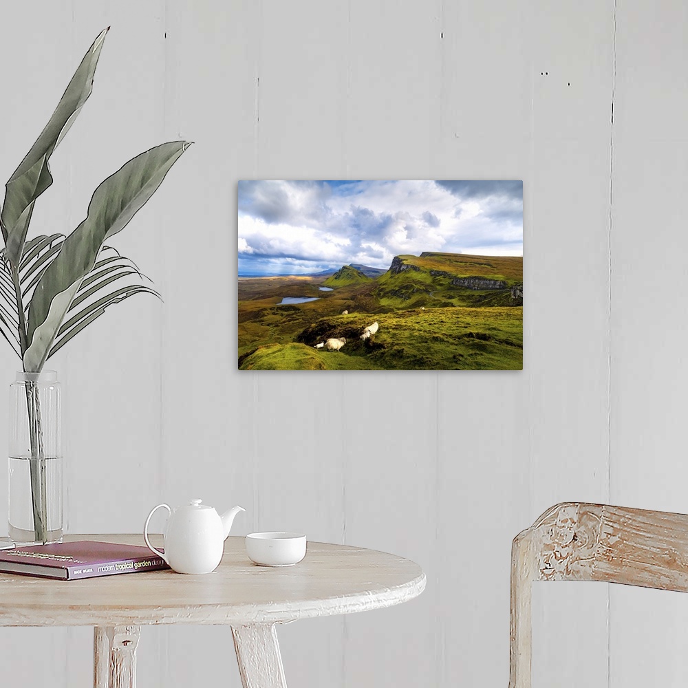 A farmhouse room featuring A Herd of Sheep and Young In Scotland's Quiraing, Isle of Skye