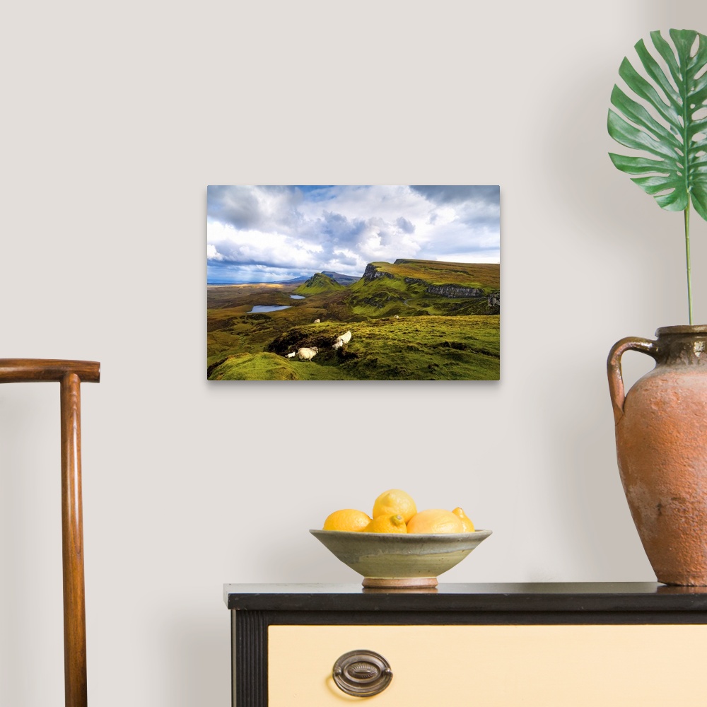 A traditional room featuring A Herd of Sheep and Young In Scotland's Quiraing, Isle of Skye