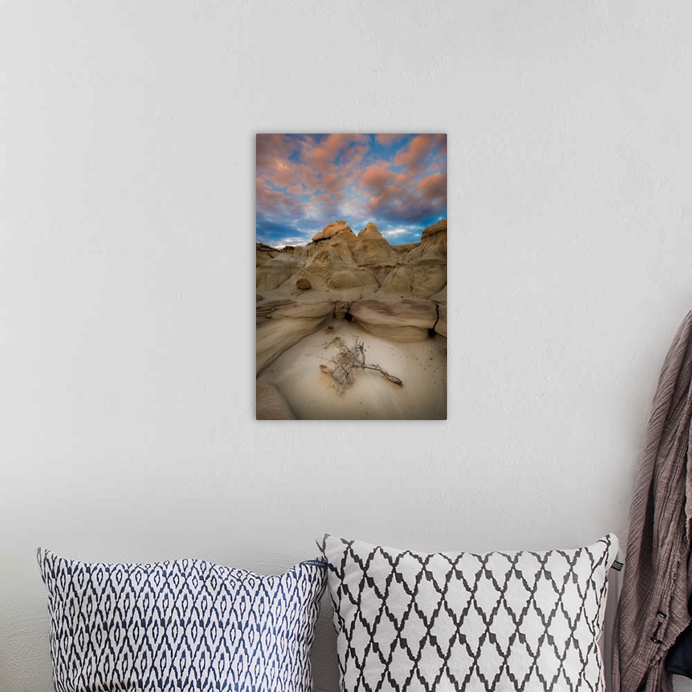 A bohemian room featuring A Lone Branch In New Mexico's Bisti Badlands, Bisti Badlands