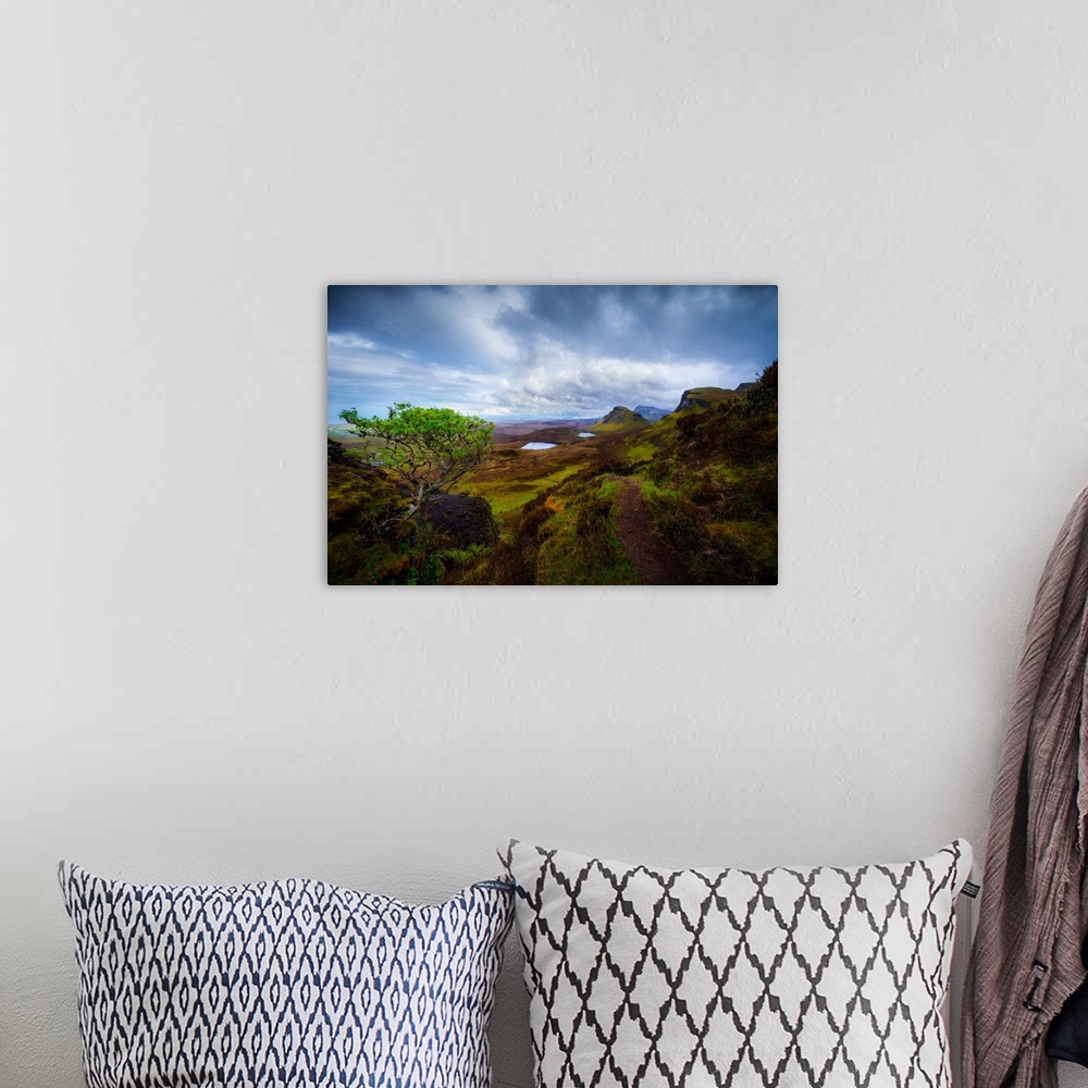A bohemian room featuring A Lone Tree Overlooking Scotland's Quiraing, Isle of Skye
