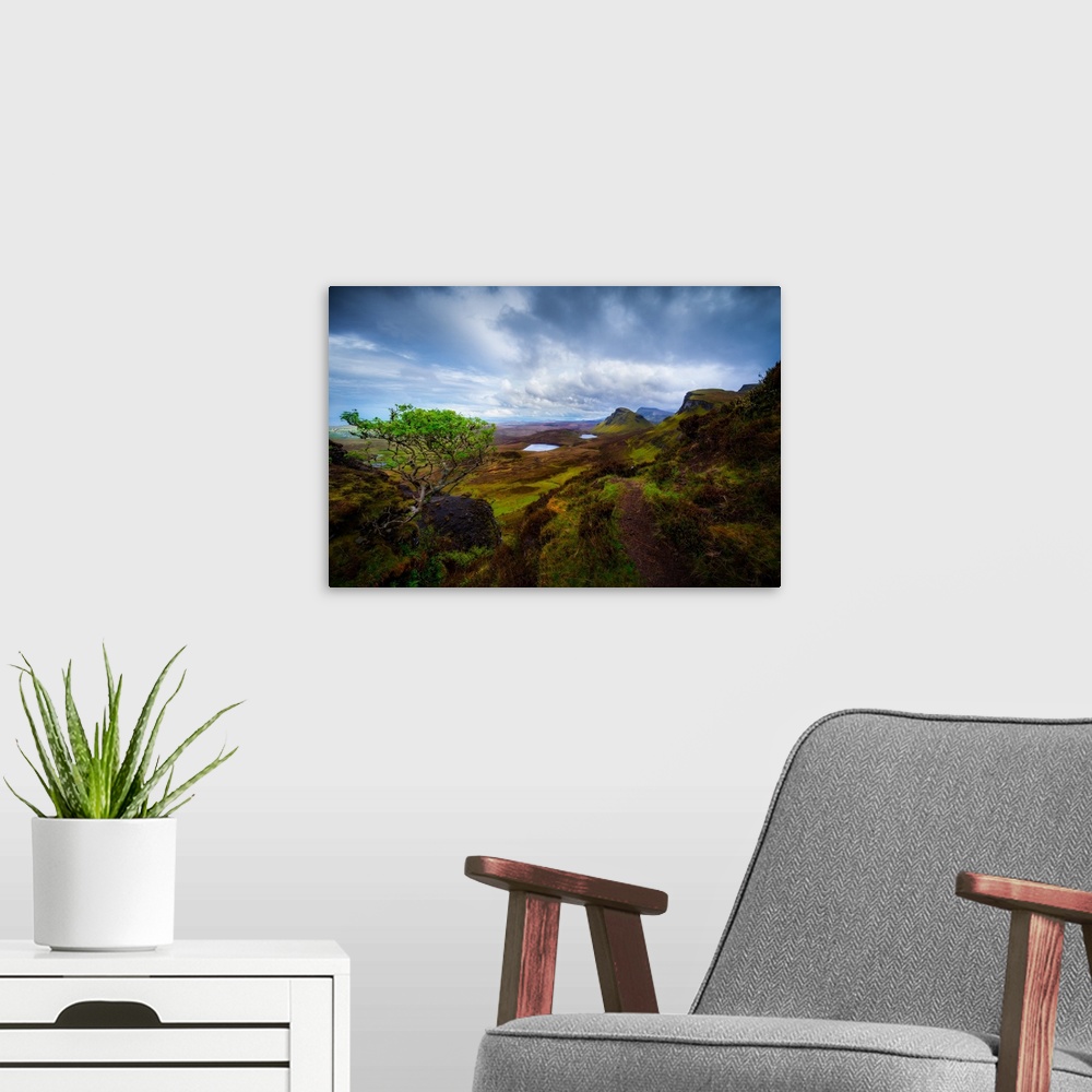 A modern room featuring A Lone Tree Overlooking Scotland's Quiraing, Isle of Skye