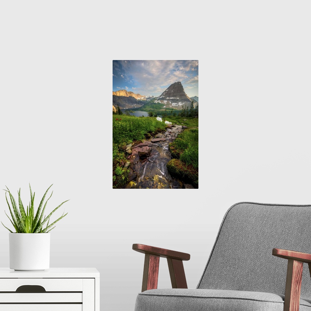 A modern room featuring A Mother Rocky Mountain Goat and Her Kid Graze at Sunset, Hidden Lake