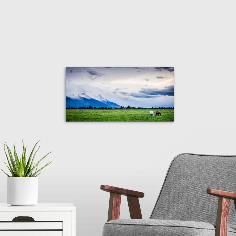 A modern room featuring Horses Graze During An Afternoon Storm, Jackson, Wyoming