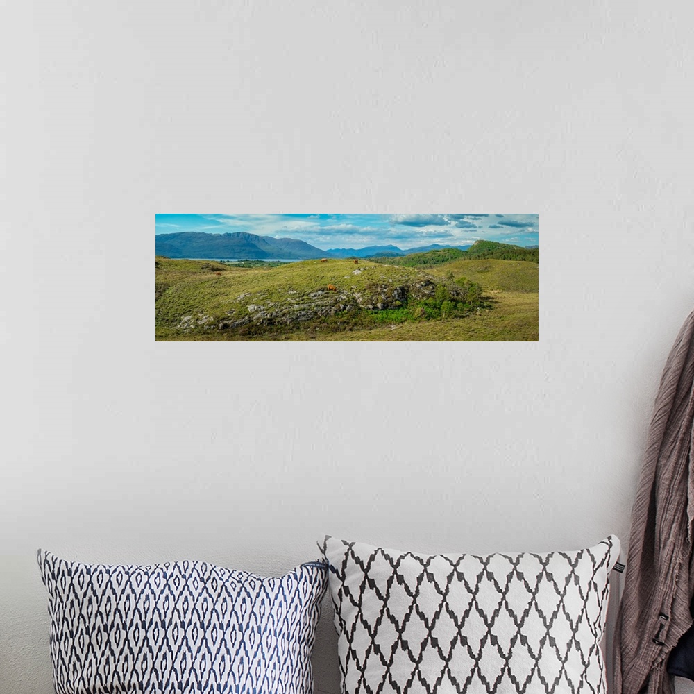 A bohemian room featuring Panorama of Sotland's Highland Cow and Peaks, Plockton