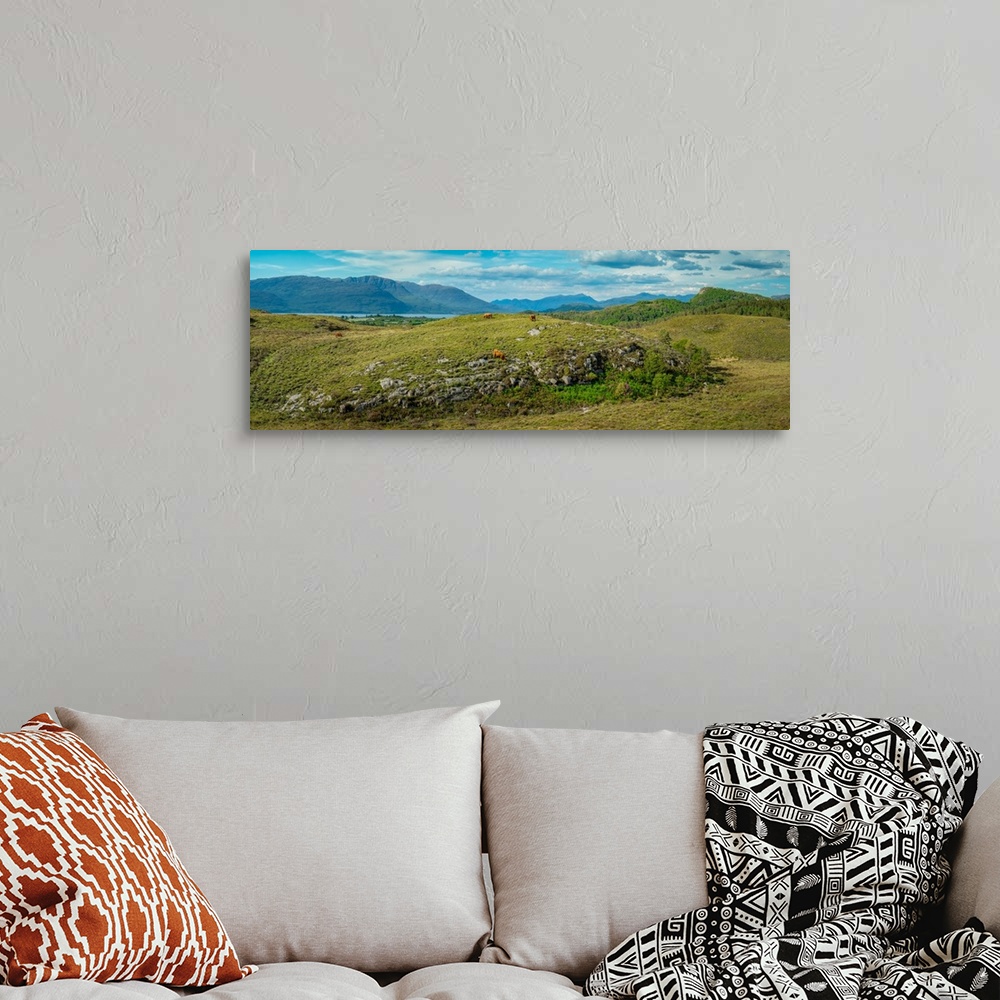 A bohemian room featuring Panorama of Sotland's Highland Cow and Peaks, Plockton