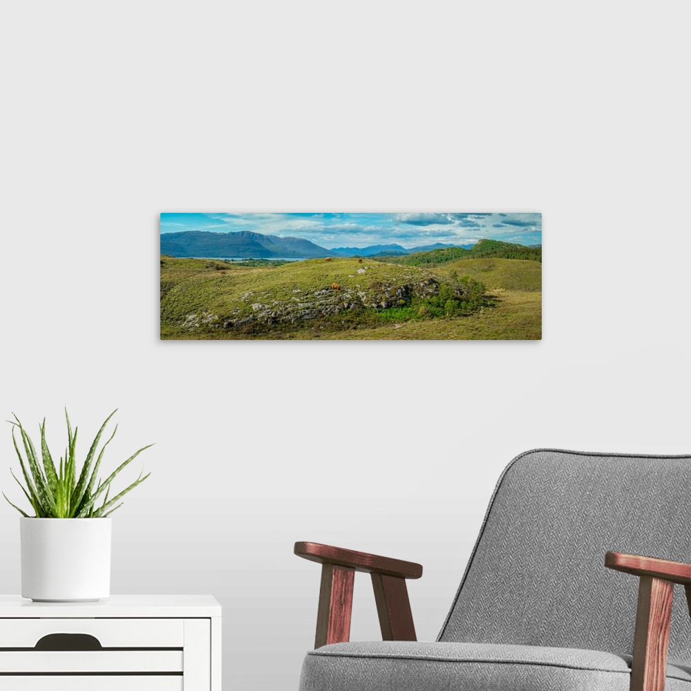 A modern room featuring Panorama of Sotland's Highland Cow and Peaks, Plockton