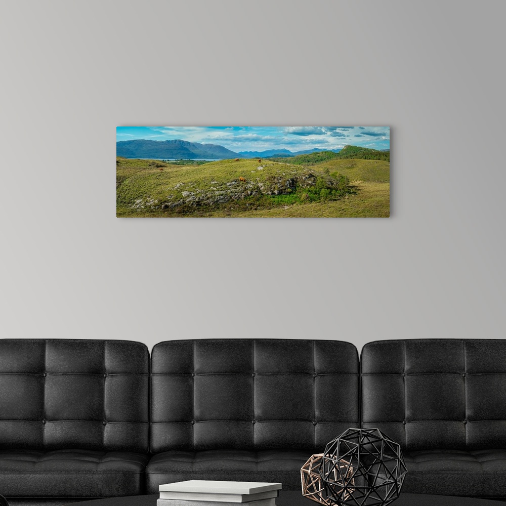 A modern room featuring Panorama of Sotland's Highland Cow and Peaks, Plockton